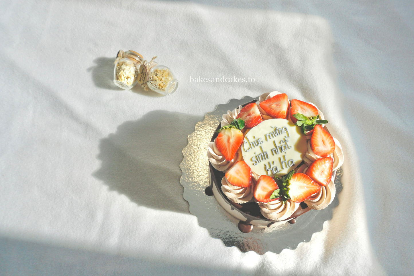 Strawberry Chocolate