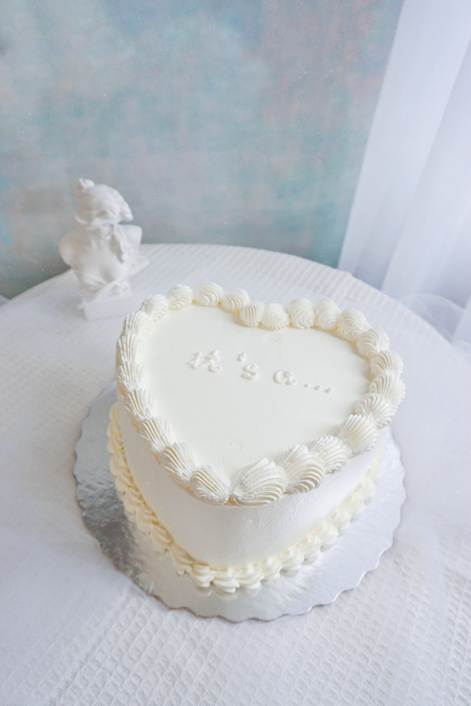 Baby Gender Reveal 🩵🩷