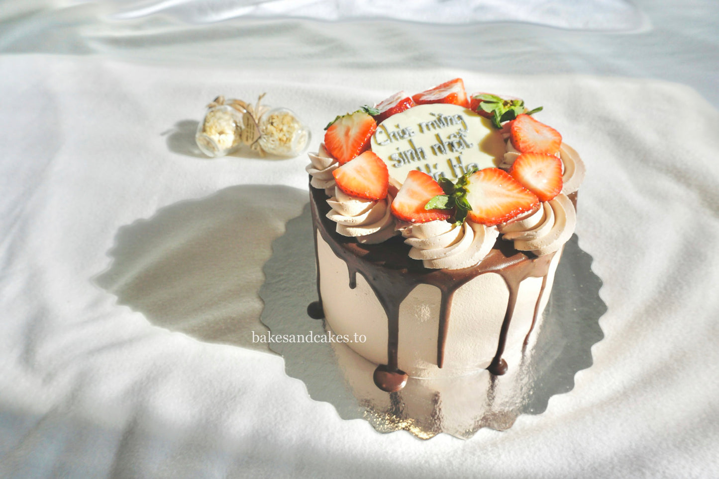 Strawberry Chocolate